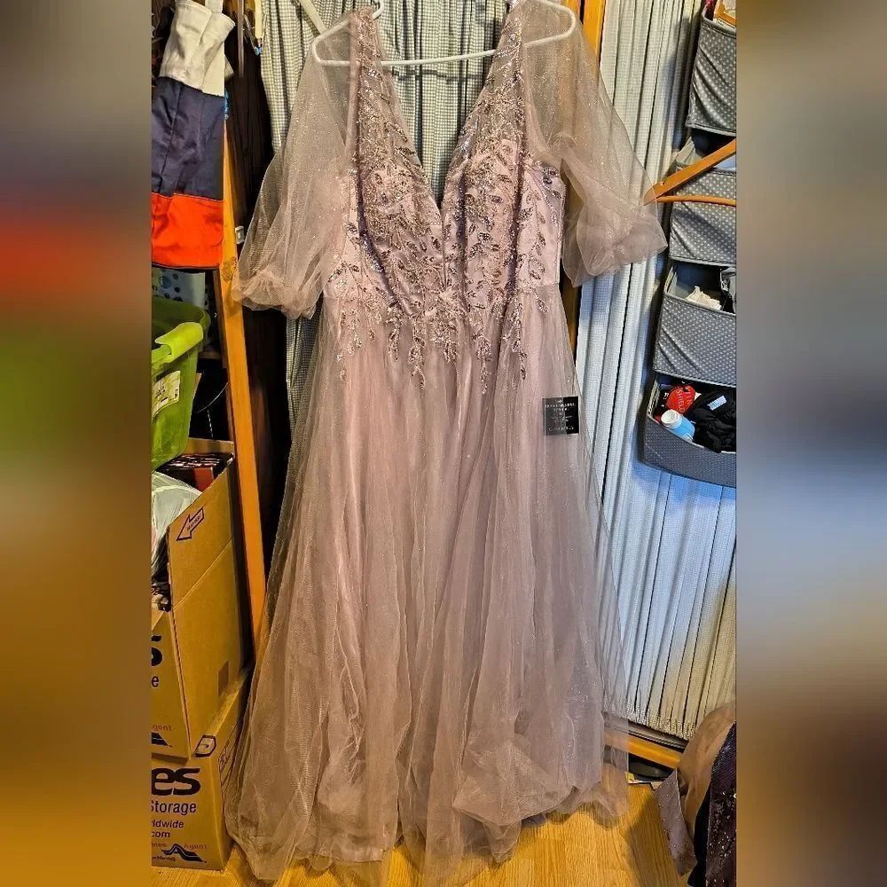 Cinderella Divine beaded tulle dress